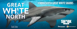 Vinyl 8' banner for Great White North documentary "