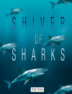 Pitch cover designed by design.1site.co for Shiver of Sharks, early version of Great White North documentary on Discovery Channel"